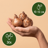 Product afbeelding 3
