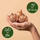 Product afbeelding 3
