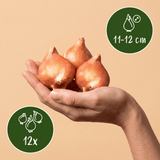 Product afbeelding 3