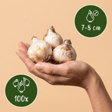 Product afbeelding 3