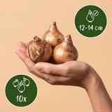 Product afbeelding 3