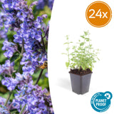 Product afbeelding 8