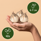 Product afbeelding 3
