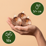 Product afbeelding 3