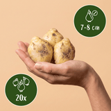 Product afbeelding 3