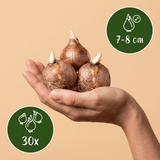 Product afbeelding 3
