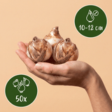 Product afbeelding 3