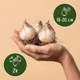 Product afbeelding 3