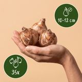 Product afbeelding 3