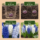 Product afbeelding 4