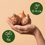 Product afbeelding 3