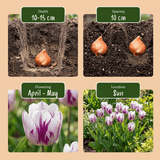 Product afbeelding 4