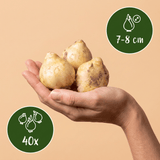 Product afbeelding 3