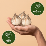 Product afbeelding 3