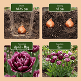 Product afbeelding 4