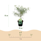 Product afbeelding 4