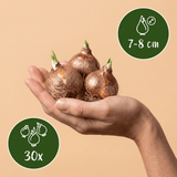 Product afbeelding 3