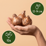 Product afbeelding 3