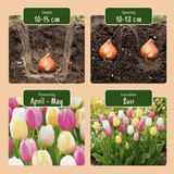 Product afbeelding 4