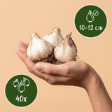 Product afbeelding 3