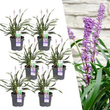 Product afbeelding 1