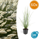 Product afbeelding 1