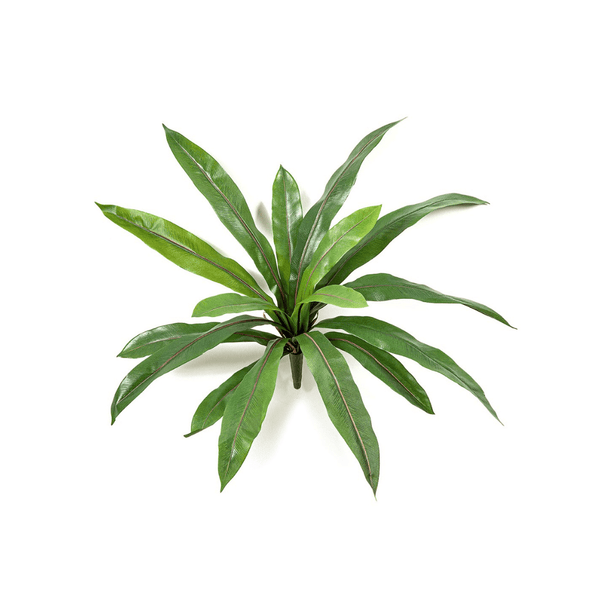 Varen Asplenium kunstplant - 40 cm kopen bij Green Bubble