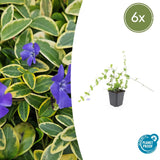 Product afbeelding 1